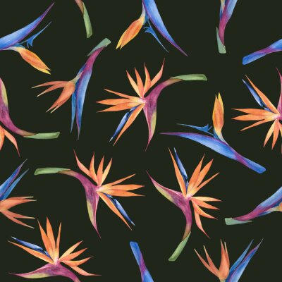Papier peint  Watercolor seamless pattern with strelitzia colors on a black background.