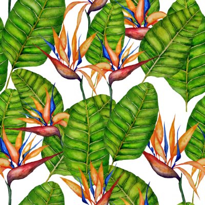 Papier peint  Watercolor seamless pattern with strelitzia reginae. Tropical floral print with birds of paradise. Beautiful allover summer print with hand drawn exotic plants. Swimwear botanical design. 