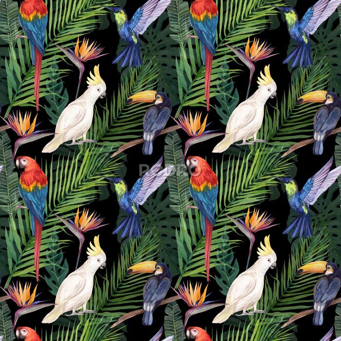 Papier peint  Watercolor seamless pattern with tropical birds and greenery. Illustration of cockatoo parrot, macaw parrot, hummingbird and toucan. Print with wild tropical nature and exotic birds.
