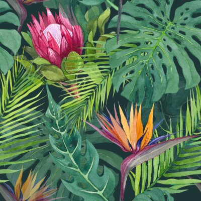 Papier peint  Watercolor seamless pattern with tropical leaves and protea and strelitzia flower. Hand drawn print for textile design, wrapping paper, stationery. Tropical theme, exotic and jungle.