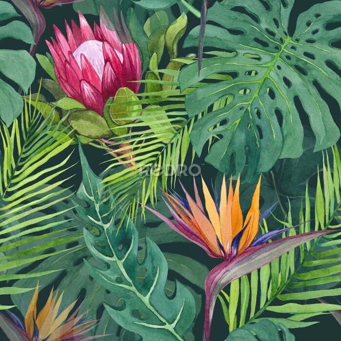 Papier peint  Watercolor seamless pattern with tropical leaves and protea and strelitzia flower. Hand drawn print for textile design, wrapping paper, stationery. Tropical theme, exotic and jungle.