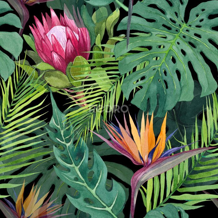 Papier peint  Watercolor seamless pattern with tropical leaves and protea and strelitzia flower. Hand drawn print for textile design, wrapping paper, stationery. Tropical theme, exotic and jungle.