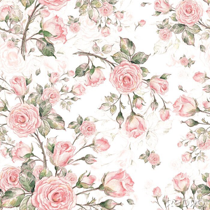 Papier peint   Watercolor Seamless Rose Pattern G.jpg
