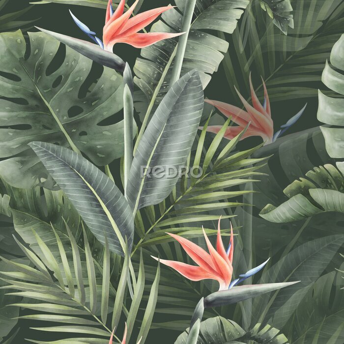 Papier peint  Watercolor seamless tropical pattern with strelitzia and  palm leaves and monstera isolated.