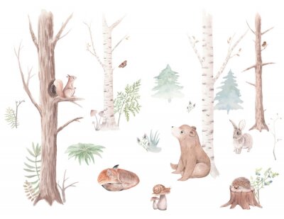 Papier peint  Watercolor set Forest Animals and Trees, watercolor woodland, bear, squirrel, sparrow, fox, rabbit, snail, hedgehog, Christmas tree, stump, for nursery, wallpaper, wall decor, stickers