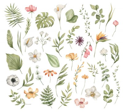 Papier peint  Watercolor set of bright tropical leaves and flowers. Leaves and branches from the jungle. Palm leaf, monstera, grass, orchid, strelitzia. Summer botany, natural elements. Bright wildflowers and twigs