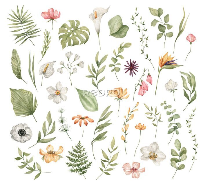 Papier peint  Watercolor set of bright tropical leaves and flowers. Leaves and branches from the jungle. Palm leaf, monstera, grass, orchid, strelitzia. Summer botany, natural elements. Bright wildflowers and twigs