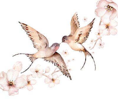 Watercolor spring flying swallows isolated and blossom flowers on white background