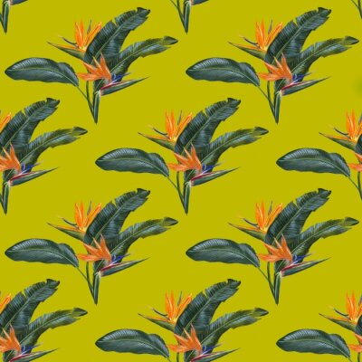 Papier peint  Watercolor strelitzia (bird of paradise) flowers and leaves composition on green background seamless pattern. 