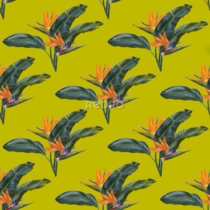 Papier peint  Watercolor strelitzia (bird of paradise) flowers and leaves composition on green background seamless pattern. 
