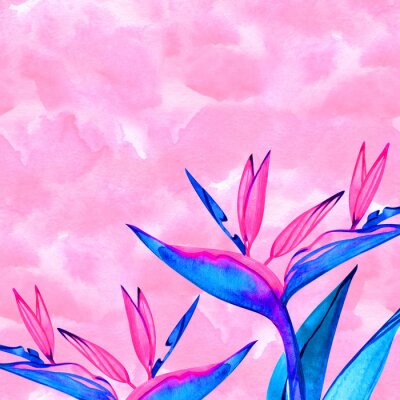 Papier peint  Watercolor strelitzia bouquet frame. Hand painted exotic flower with leaves. Watercolor Background with Strelitzia Flowers. Corner watercolor banner background with exotic flower.