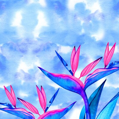 Papier peint  Watercolor strelitzia bouquet frame. Hand painted exotic flower with leaves. Watercolor Background with Strelitzia Flowers. Corner watercolor banner background with exotic flower.