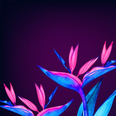 Papier peint  Watercolor strelitzia bouquet frame. Hand painted exotic flower with leaves. Watercolor Background with Strelitzia Flowers. Corner watercolor banner background with exotic flower.