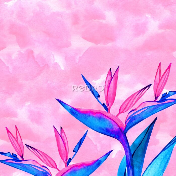 Papier peint  Watercolor strelitzia bouquet frame. Hand painted exotic flower with leaves. Watercolor Background with Strelitzia Flowers. Corner watercolor banner background with exotic flower.