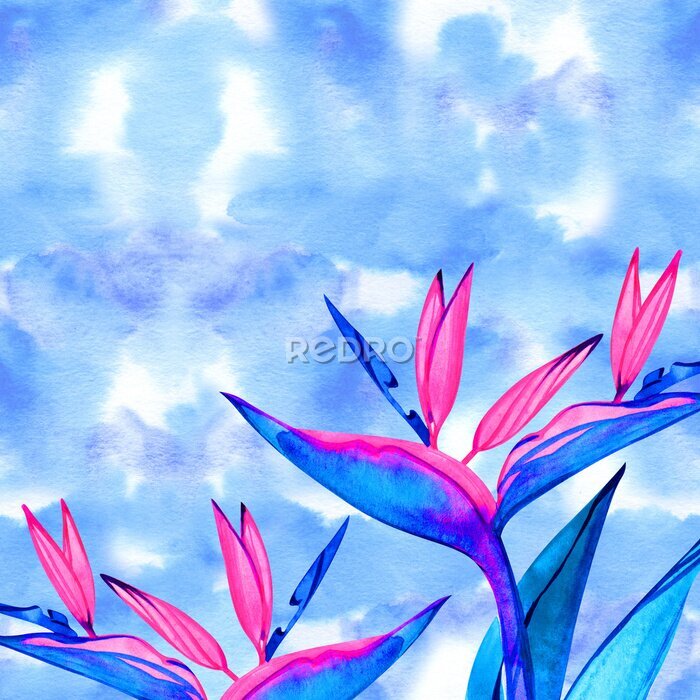 Papier peint  Watercolor strelitzia bouquet frame. Hand painted exotic flower with leaves. Watercolor Background with Strelitzia Flowers. Corner watercolor banner background with exotic flower.