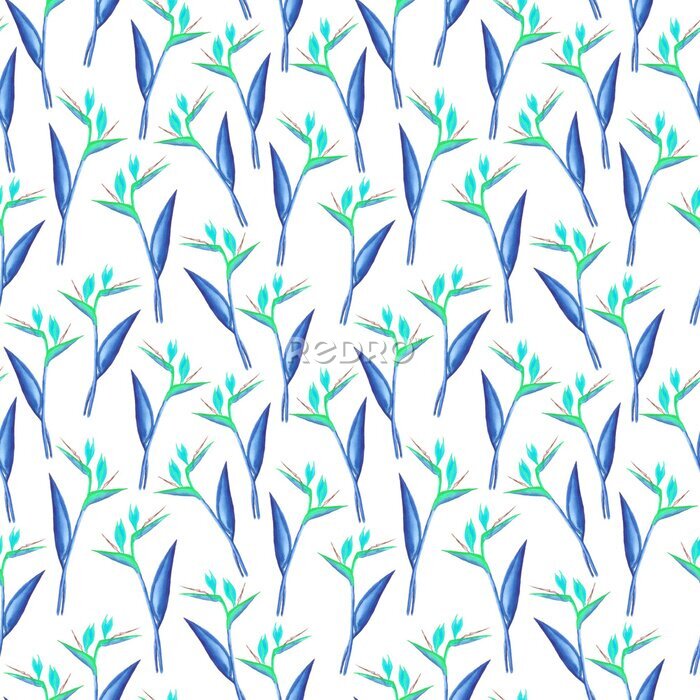 Papier peint  Watercolor strelitzia seamless pattern. Blue and green strelitzia isolated on white background. Design for textile, wallpapers, greeting cards, invitation cards.
