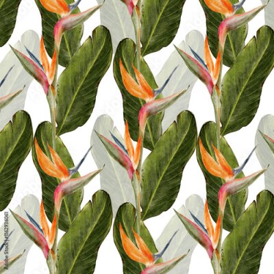 Papier peint  watercolor strelitzia seamless pattern illustration with green leaves