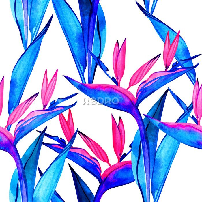 Papier peint  Watercolor strelitzia seamless pattern. Seamless pattern with tropical jungle strelitzia flowers. Watercolor pattern background with flowers of strelitzia.