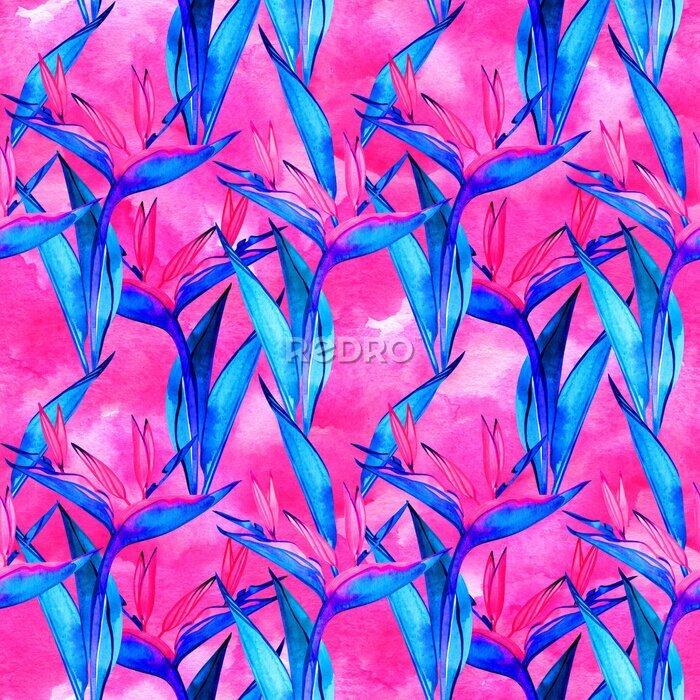 Papier peint  Watercolor strelitzia seamless pattern. Seamless pattern with tropical jungle strelitzia flowers. Watercolor pattern background with flowers of strelitzia.