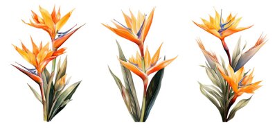 Papier peint  Watercolor strelitzia set. Generative Ai	