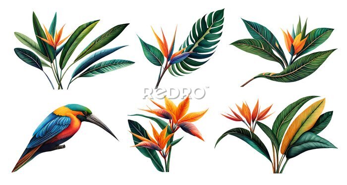 Papier peint  Watercolor strelitzia set. Generative Ai