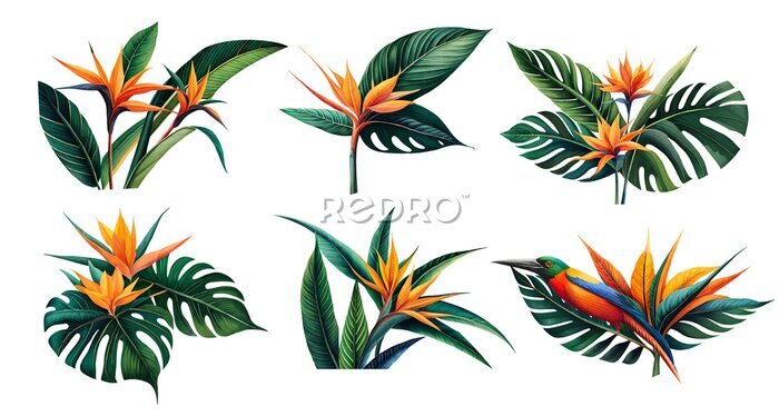 Papier peint  Watercolor strelitzia set. Generative Ai
