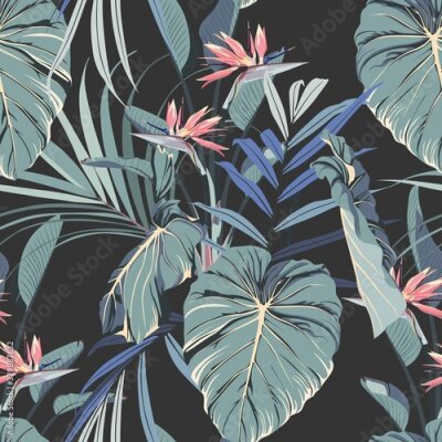 Papier peint  Watercolor style pink strelitzia flowers and blue palm leaves seamless pattern. Decorative background in rustic boohoo style for wedding invite, fabric.	