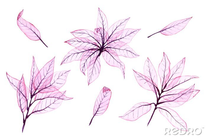 Papier peint  Watercolor transparent leaves. Hand painted pink leaves perfect for card making and label. Illustration