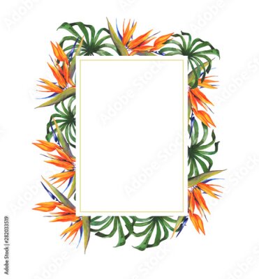 Papier peint  Watercolor tropical botanical illustration. Gold frame, tropical plants, monstera, exotic flower Strelitzia. Wedding invitation. Greeting card. Palm leaves. Set of wedding invitation designs.