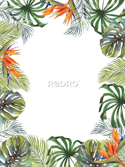 Papier peint  Watercolor tropical botanical illustration. Gold frame, tropical plants, monstera, exotic flower Strelitzia. Wedding invitation. Greeting card. Palm leaves. Set of wedding invitation designs.
