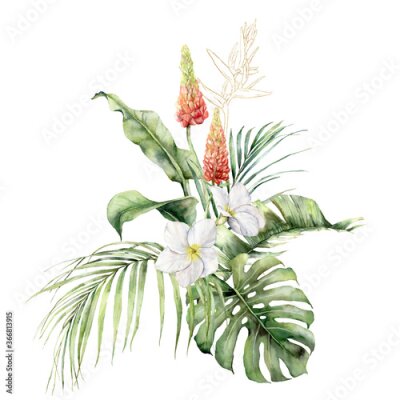 Papier peint  Watercolor tropical bouquet with lupine, plumeria, palm leaves and linear strelitzia. Hand painted tropical flowers isolated on white background. Floral illustration for design, print or background.