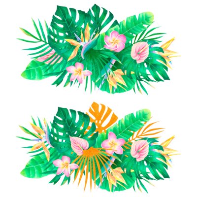 Papier peint  Watercolor tropical composition plumeria strelitzia anthurium palm leaves and monstera bouquet