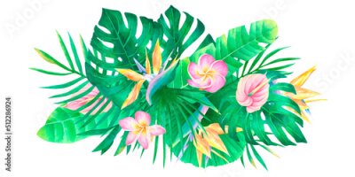 Papier peint  Watercolor tropical composition plumeria strelitzia anthurium palm leaves and monstera bouquet exotic flower arrangement for design