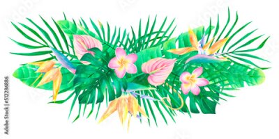 Papier peint  Watercolor tropical composition strelitzia anthurium plumeria palm leaves bouquet jungle arrangement