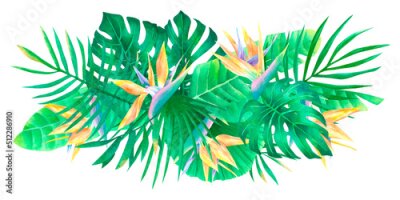 Papier peint  Watercolor tropical composition strelitzia flowers palm leaf and monstera bouquet exotic arrangement