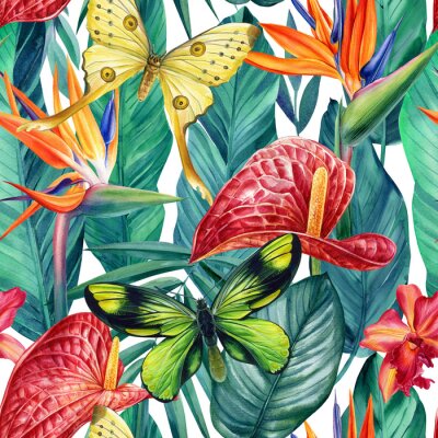 Papier peint  Watercolor tropical flowers anthurium, strelitzia, palm leaves and butterfly. Seamless pattern 