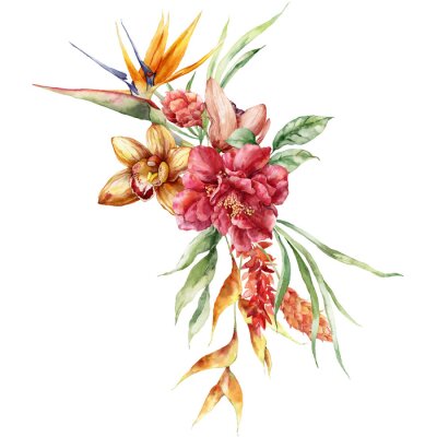 Papier peint  Watercolor tropical flowers bouquet of strelitzia, heliconia and etlingera. Hand painted floral poster isolated on white background. Holiday Illustration for design, print, fabric or background.
