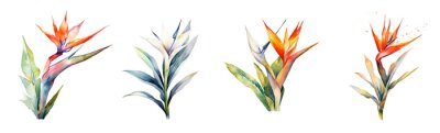 Papier peint  Watercolor tropical flowers strelitzia set. Generative AI