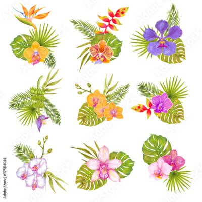 Papier peint  Watercolor tropical orchid , strelitzia, heliconia, banana  flowers with tropic monstera fern areca palm bamboo leaves. Tropical bunch flowers and plants