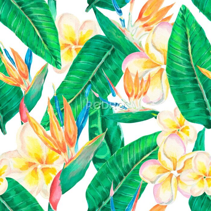 Papier peint  Watercolor tropical pattern. Watercolor exotic flowers .Design with Jasmine Flower, Frangipani, green leaves, palms, Plumeria, branches. Paradise nature, strelitzia, flower of the bird of Paradise. 