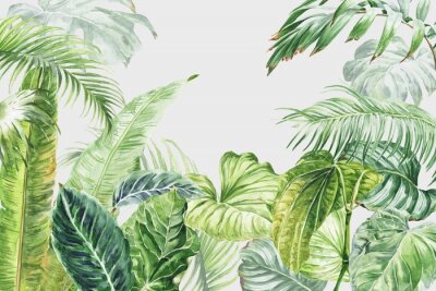 Papier peint  Watercolor tropical wall mural with palm tree leaves. Watercolour .