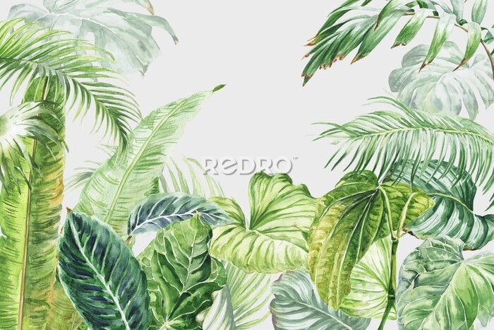 Papier peint  Watercolor tropical wall mural with palm tree leaves. Watercolour .