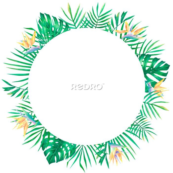 Papier peint  Watercolor tropical wreath with palm leaves and strelitzia flower exotic round frame on white background