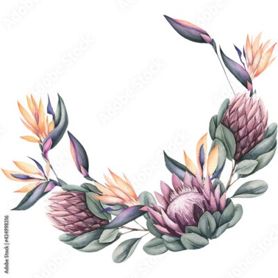 Papier peint  Watercolor Wreath with Protea and Strelitzia Flowers