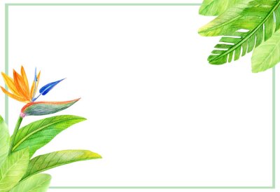 Papier peint  Wedding floral watercolor invite, invitation, save the date card design with tropical leaves and strelitzia flowers. Decorative natural border, frame. Modern art elegant template.