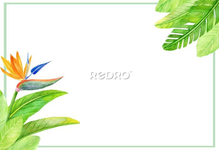 Papier peint  Wedding floral watercolor invite, invitation, save the date card design with tropical leaves and strelitzia flowers. Decorative natural border, frame. Modern art elegant template.