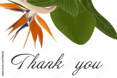 Papier peint  Wedding invitation with Strelitzia  flowers. Vector watercolor.  Vector illustration. 