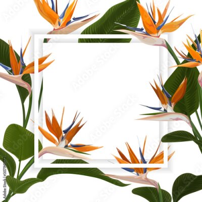 Papier peint  Wedding invitation with Strelitzia  flowers. Vector watercolor.  Vector illustration. 