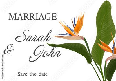 Papier peint  Wedding invitation with Strelitzia  flowers. Vector watercolor.  Vector illustration. 