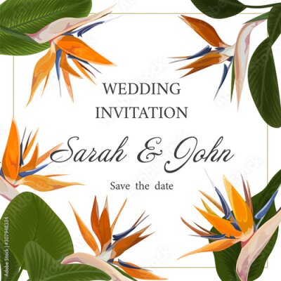 Papier peint  Wedding invitation with Strelitzia  flowers. Vector watercolor.  Vector illustration. 